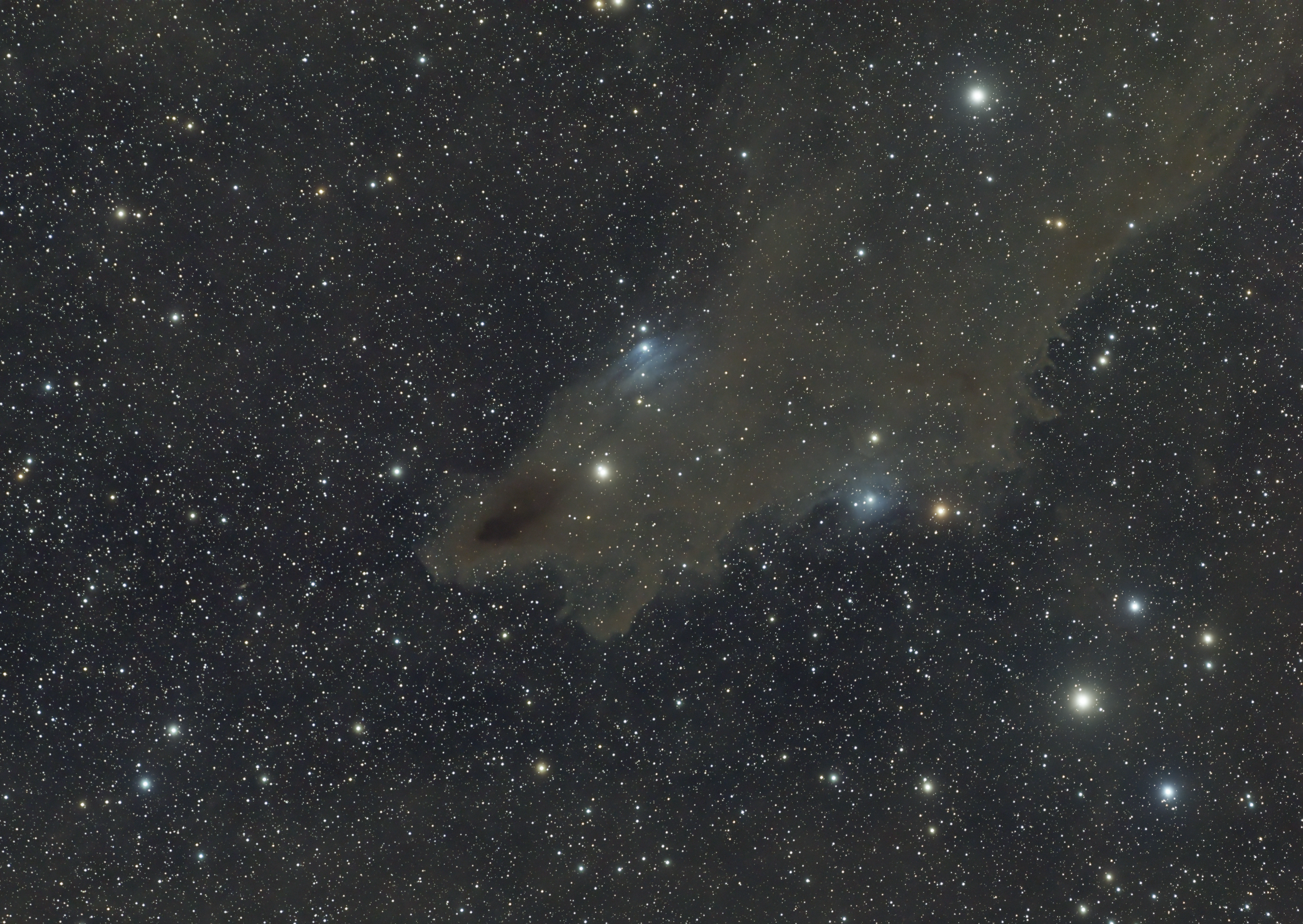 Dark Shark Nebula